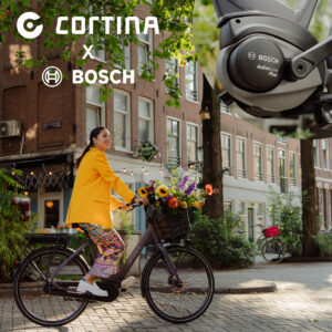Cortina x Bosch Post 1