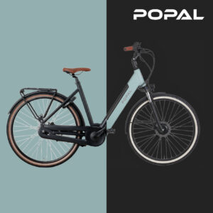 Popal-Novel-FM